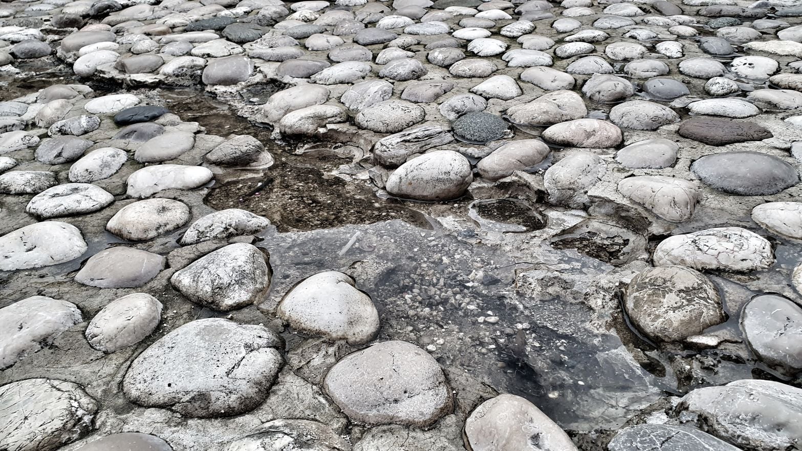 Stari grad u Mostaru neodržavan i zapušten